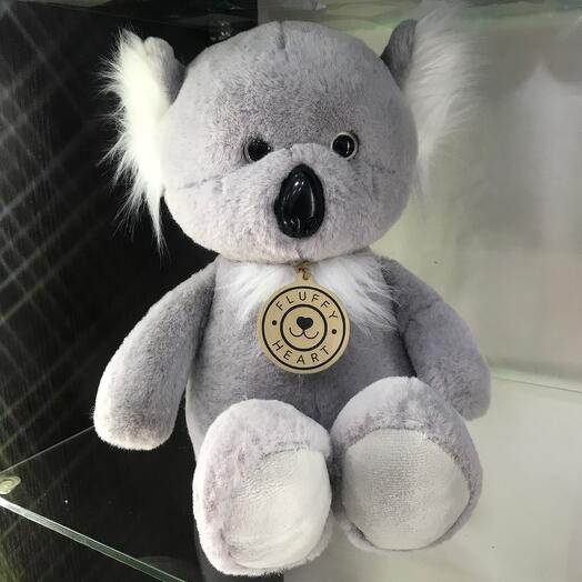 Коала мягкая