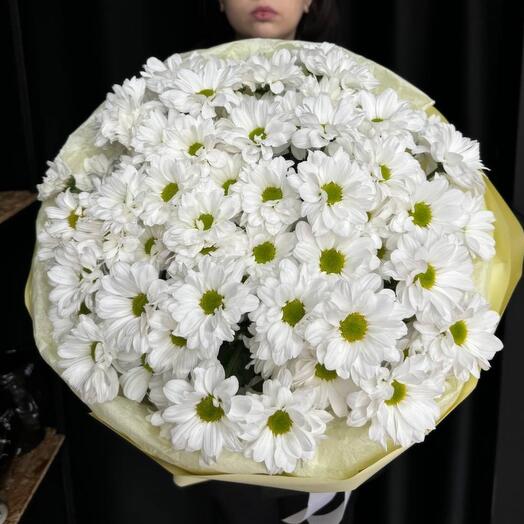 Ромашки