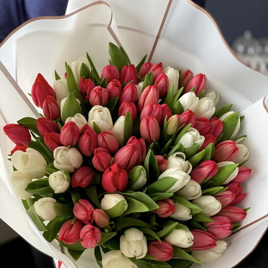 75 White   Red Tulips