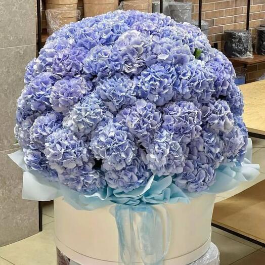 Bouquet of 51 purple hydrangeas in hatbox