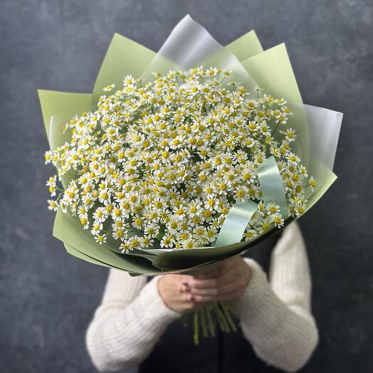 Букет из 25 кустовых ромашек