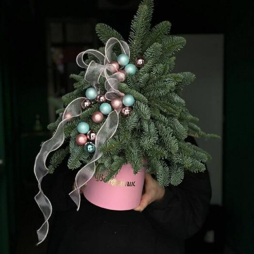 В свете елочных огней