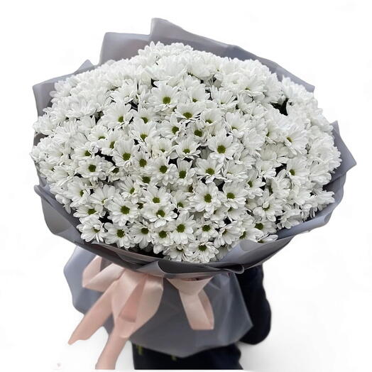 White daisy