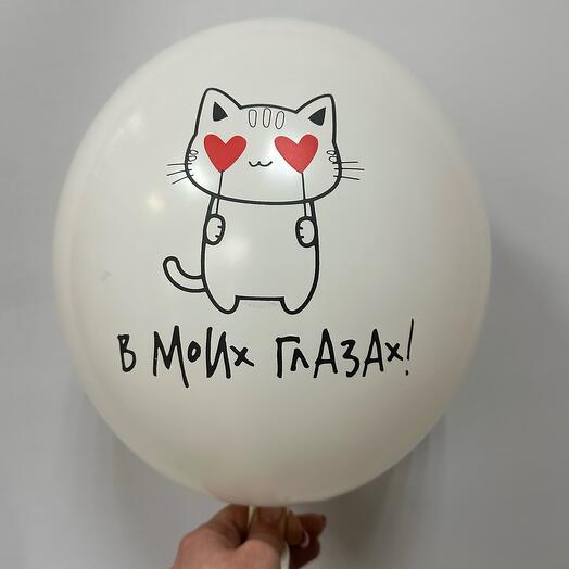 Латексный шар с котиком