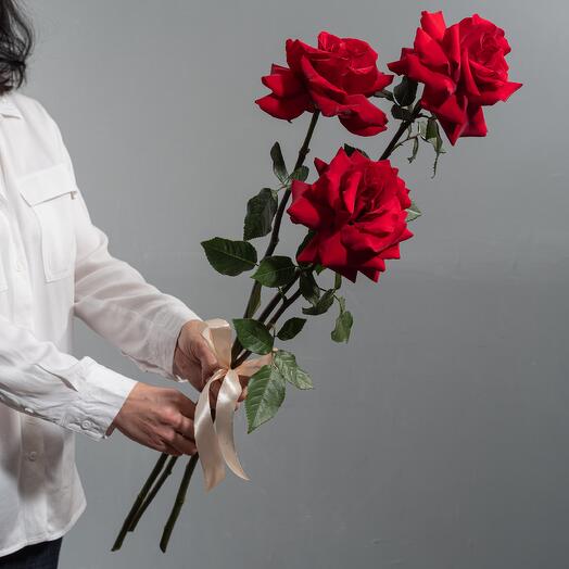 3 red Ecuadorian roses with a satin ribbon