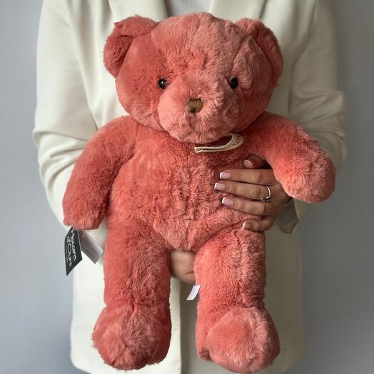 Soft Toy Bear HISTOIRE D OURS