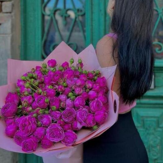Purple spray rose