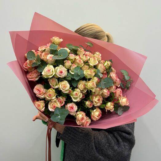 Rosas arbustivas Jezabel 9 piezas