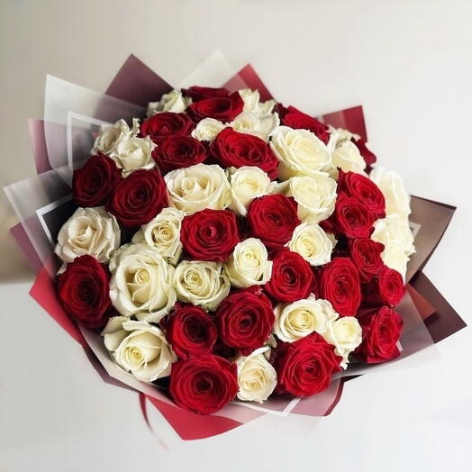 51 Red   White Roses