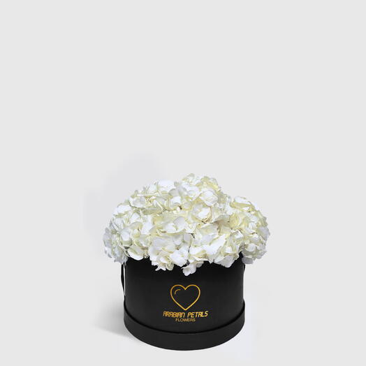 White Hydrangea Small Black Box