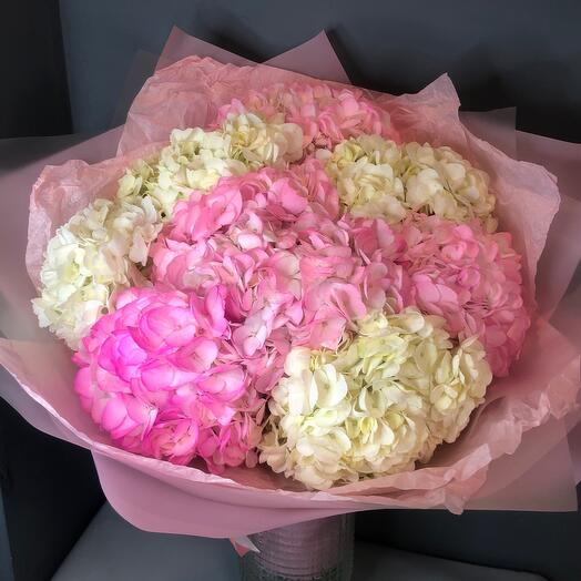 Bouquet of 9 Hydrangeas in an airy package