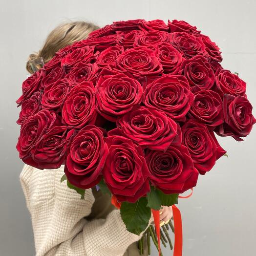 35 Ароматных красных Роз🌹
