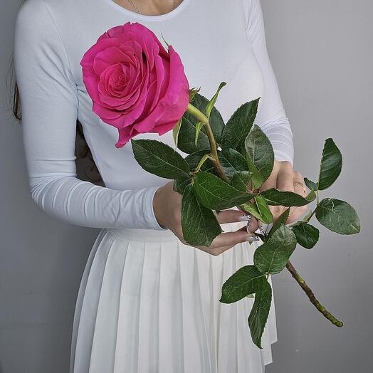 💘Розовая роза Pink