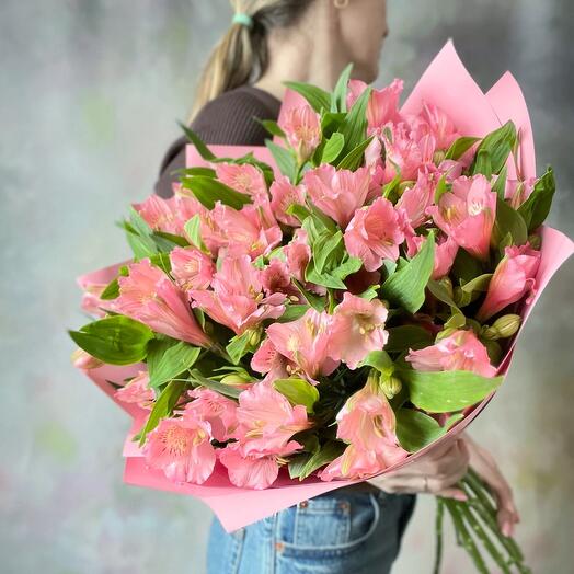 Стойкая розовая альстромерия