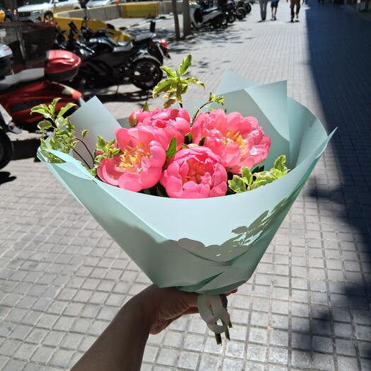 Peonia rosada