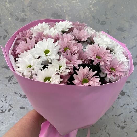 Букет из бело-розовых хризантем
