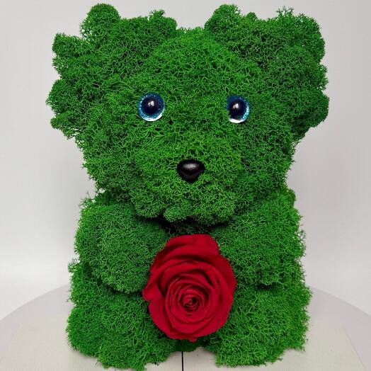 "Moss Teddy Love" Необычная Композиция Мишка со Стабилизированной Розой и Мхом