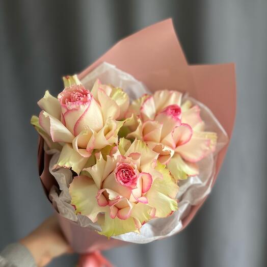 Роза Эсперанса, 3 шт в упаковке, Французская роза