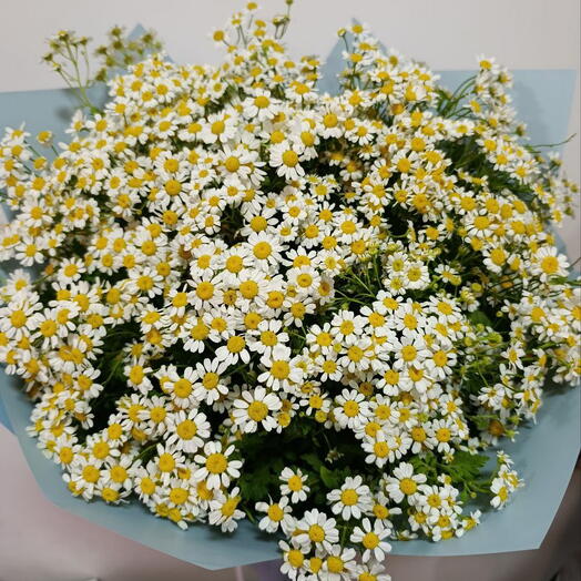 Ромашковый этюд! 🌼🦋🍀 из местных белых кустовых ромашек