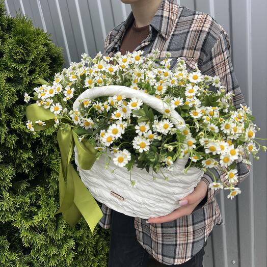 Корзина с Матрикари 💐