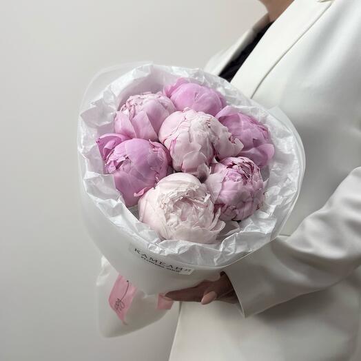 Нежно-розовые пионы Сара Бернар 🤍 (х7) Камелия Flowers Shop