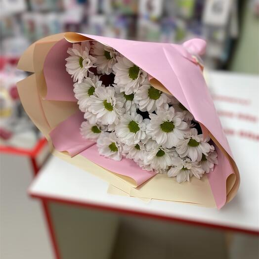 Daisies flowers are a gift for your beloved