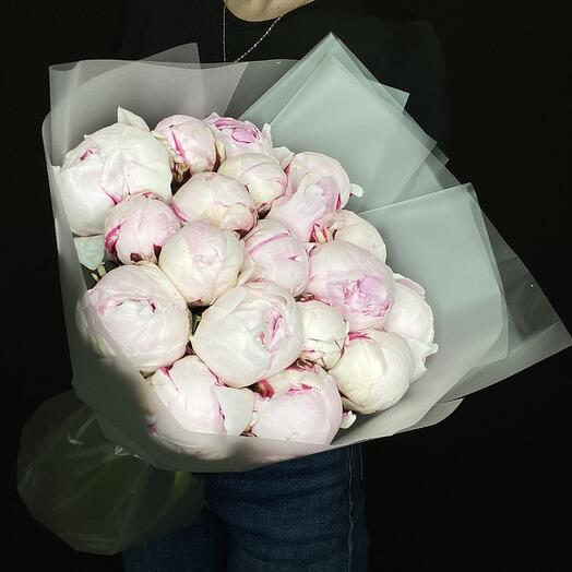 19 пионов