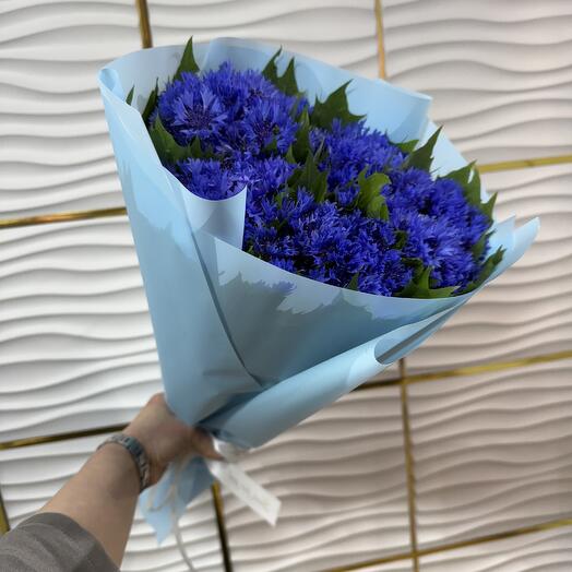 Васильки синие 💙💙💙