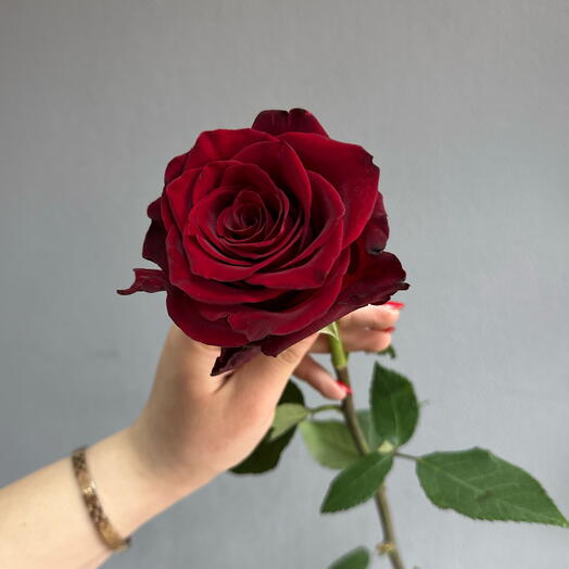 Роза🌹