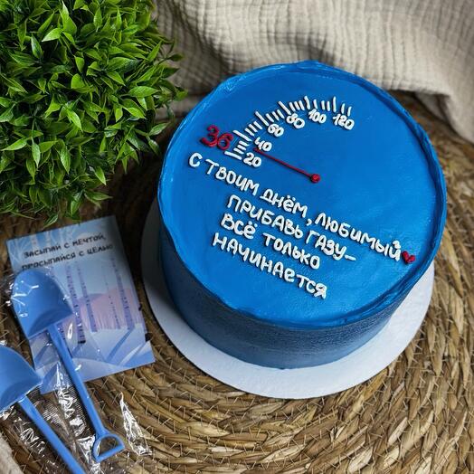 Мини торт «Скорость»