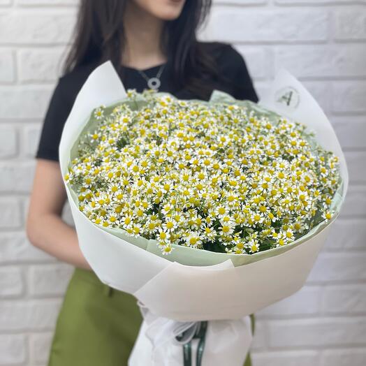 Букет из 25 ромашек