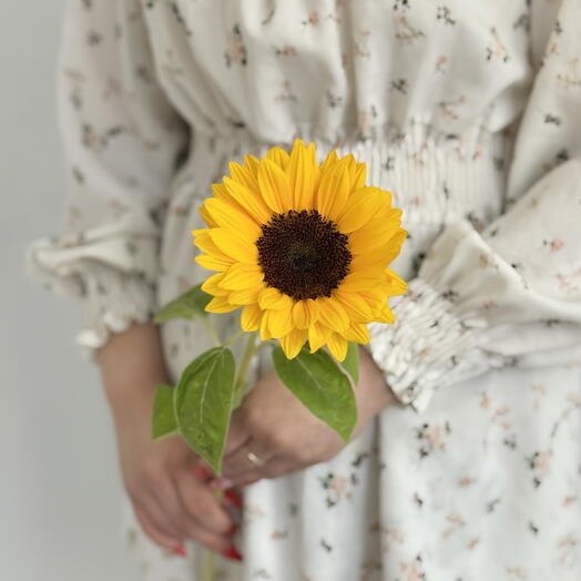 Декоративный подсолнух в вазу🌻