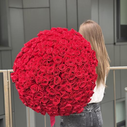 Букет из 201 красной розы Классика