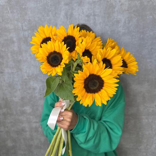 Подсолнухи 🌻9 штук