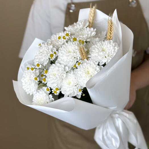 Monobook with ilex in black packaging
