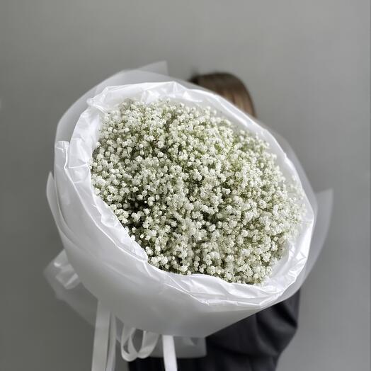 Gypsophilia Bouquet N-129