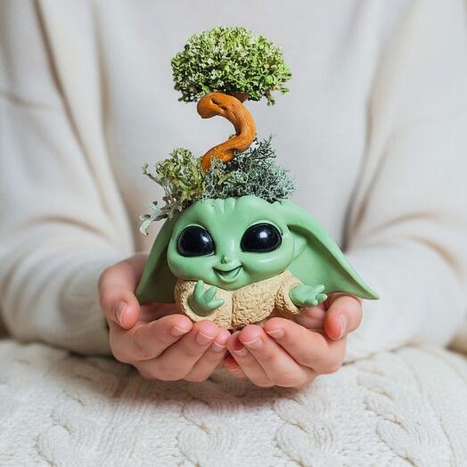 Bebé Yoda con un árbol de musgo Islandés cetraria