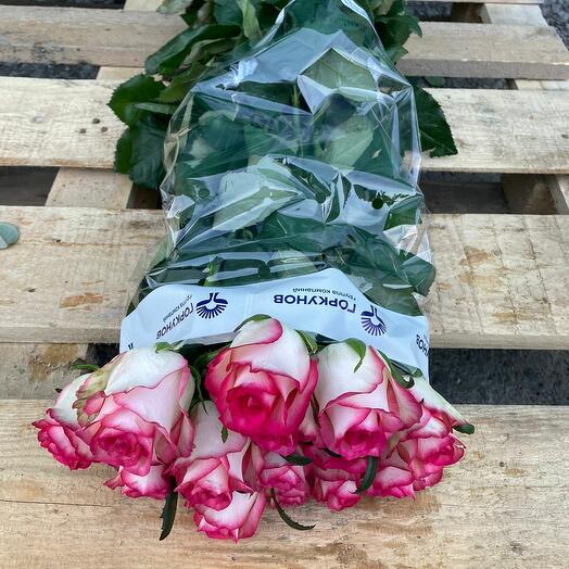 Пачка (15 штук) роз 50 см, Джумилия