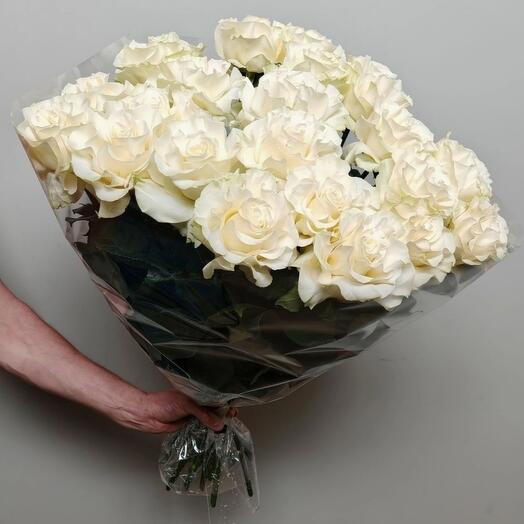 Белая французская роза