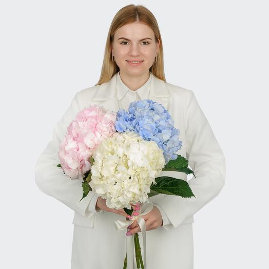 Букет 3 гортензии