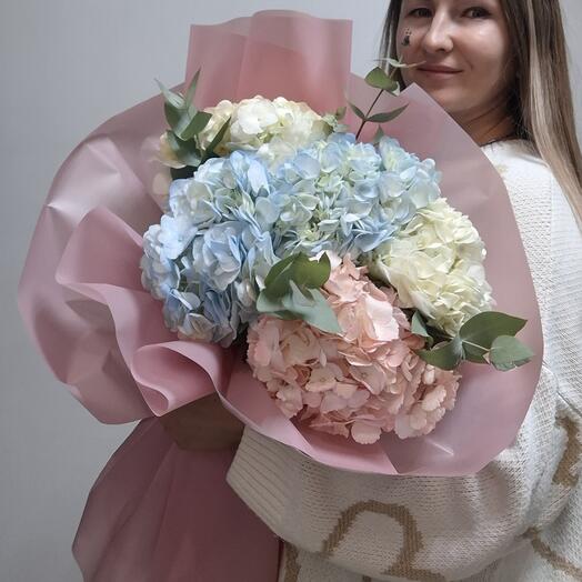 Микс гортензий