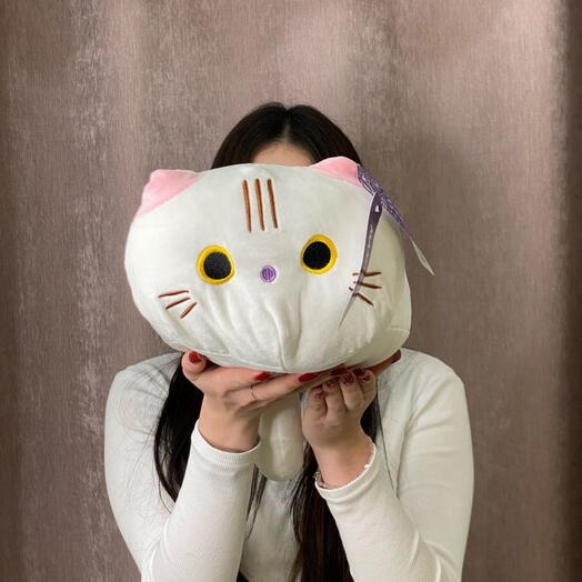 Игрушка-подушка Котик
