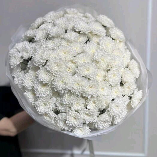 Огромный Моно Букет из Белых Кустовых Хризантем, 25 штук