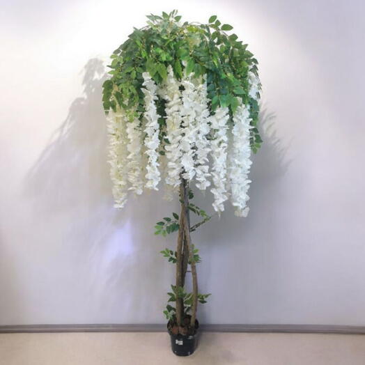 Глициния искусственная