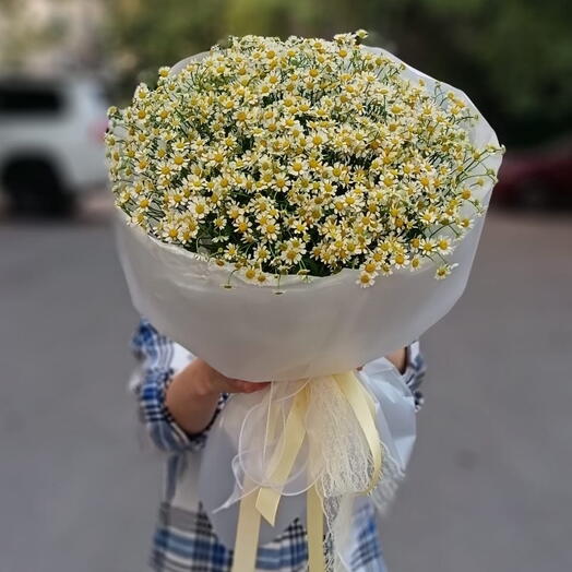Ромашки танацетум