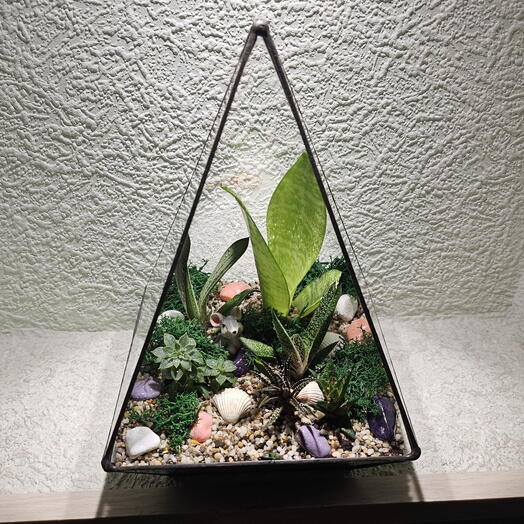 Флорариум многогранник треугольный с суккулентами