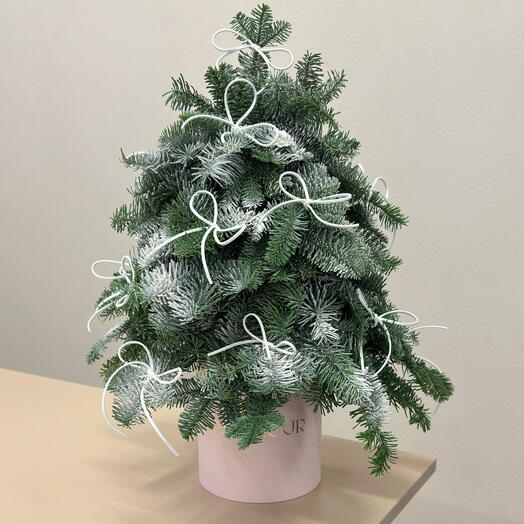 Композиция бантик