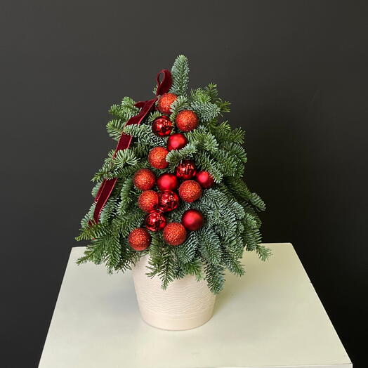 Ёлка из нобилиса Рождественская Классика — мини-ёлка в кашпо с красным декором