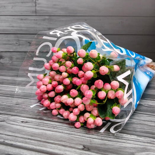 Пачка (10 шт.) Гиперикум Коко Казино 50 см Арт. Fc02335c