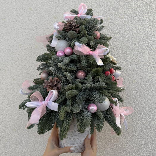 Рождественская елка из Нобилиса 🎄